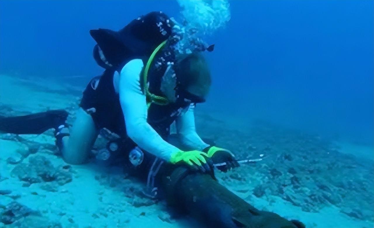 海底地形分布规律_全球海底光缆分布图_海底的分布